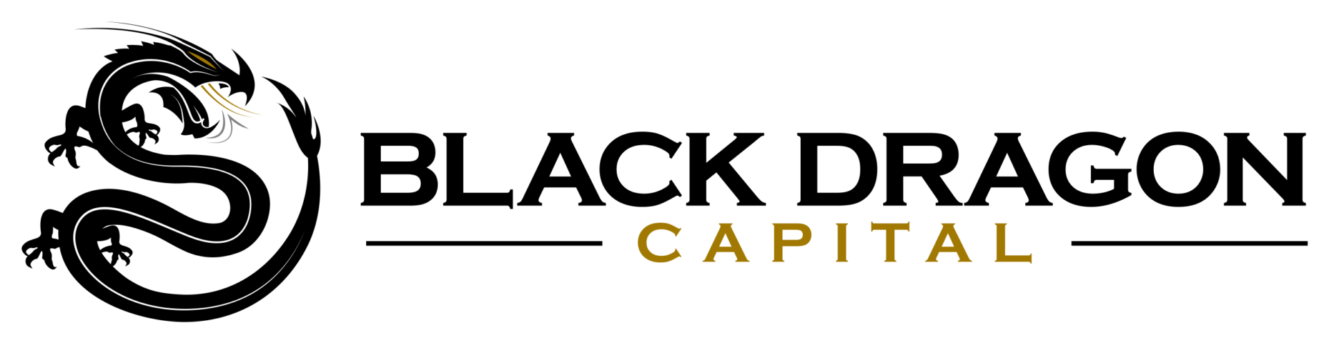 Black Dragon Capital
